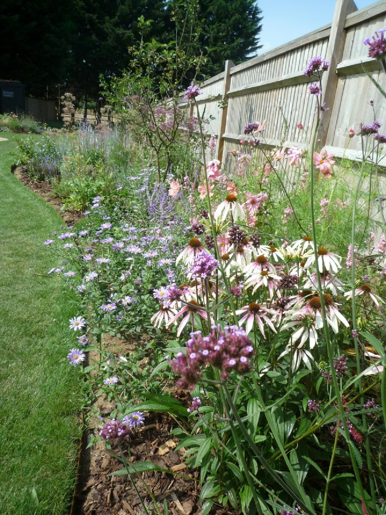 Planting of Flower borders in Banstead Garden